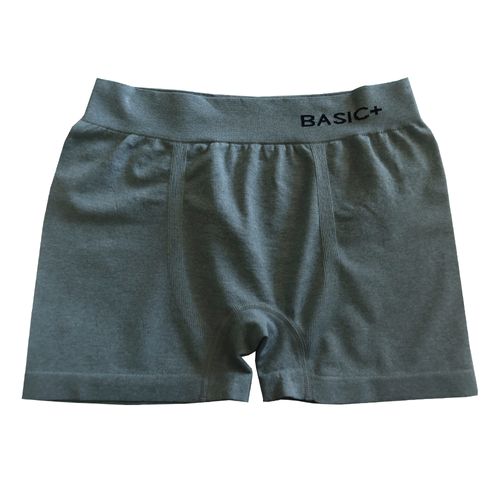 Cueca Boxer Masculina Basic+ Poliéster Mescla P