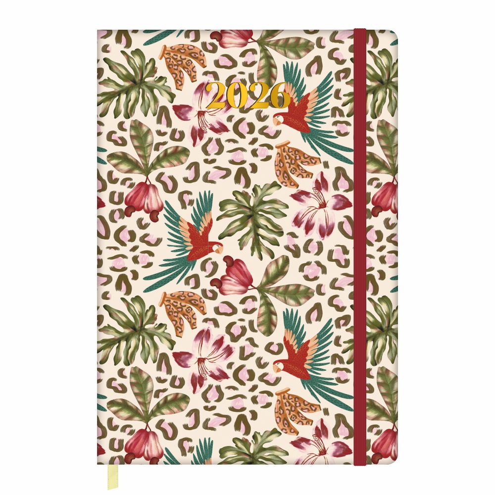 Agenda Semanal 2026 20x13,8cm School Basics Capa Dura