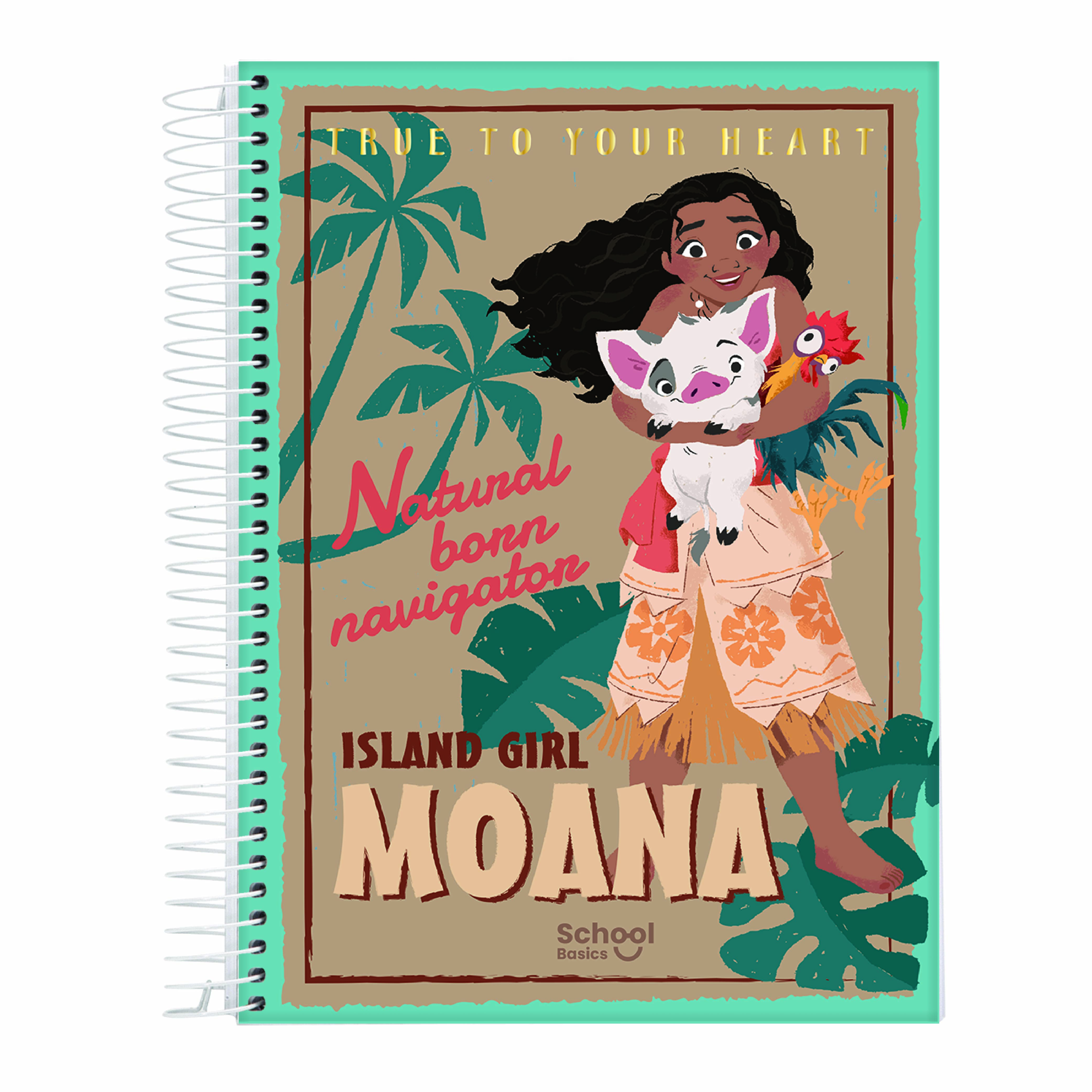 Caderno Universitário Moana 10 Matérias 160 Folhas Jandaia Capa Dura